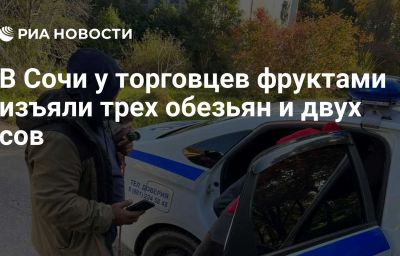 В Сочи у торговцев фруктами изъяли трех обезьян и двух сов