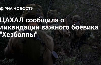 ЦАХАЛ сообщила о ликвидации важного боевика "Хезболлы"