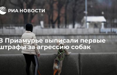 В Приамурье выписали первые штрафы за агрессию собак