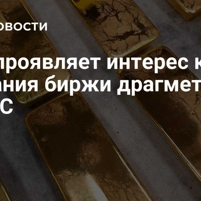 ЦАР проявляет интерес к идее создания биржи драгметаллов БРИКС