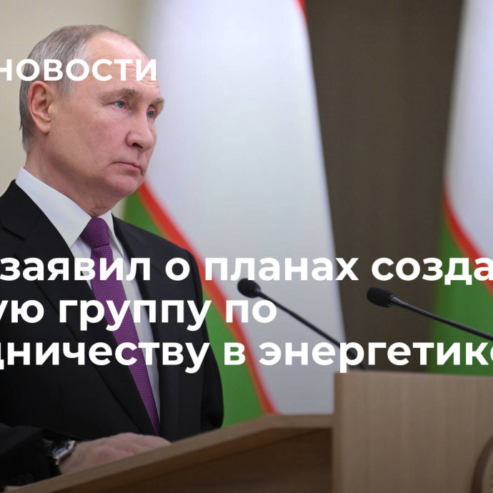 Путин заявил о планах создать рабочую группу по сотрудничеству в энергетике