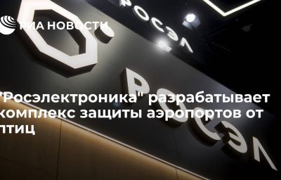 "Росэлектроника" разрабатывает комплекс защиты аэропортов от птиц