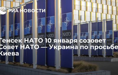 Генсек НАТО 10 января созовет Совет НАТО — Украина по просьбе Киева