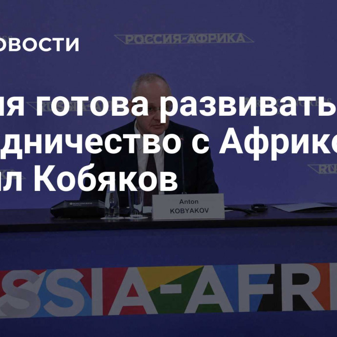 Россия готова развивать сотрудничество с Африкой, заявил Кобяков