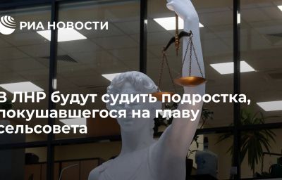 В ЛНР будут судить подростка, покушавшегося на главу сельсовета