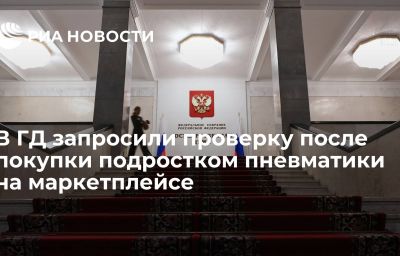 В ГД запросили проверку после покупки подростком пневматики на маркетплейсе