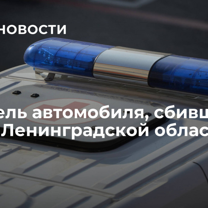 Водитель автомобиля, сбивший лося в Ленинградской области, погиб