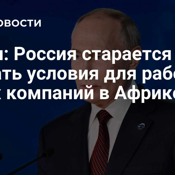 Путин: Россия старается создать условия для работы своих компаний в Африке