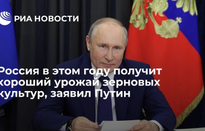 Россия в этом году получит хороший урожай зерновых культур, заявил Путин