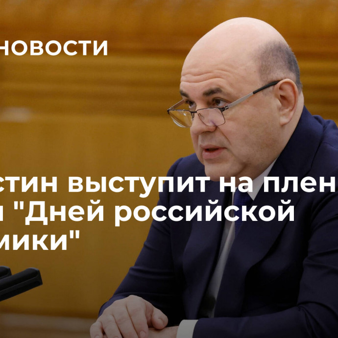 Мишустин выступит на пленарной сессии 