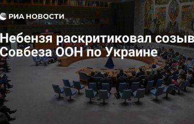 Небензя раскритиковал созыв Совбеза ООН по Украине