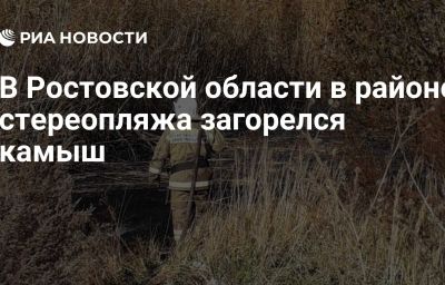 В Ростовской области в районе стереопляжа загорелся камыш