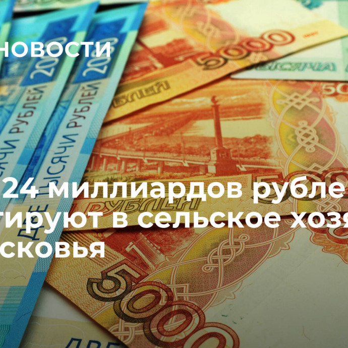 Около 24 миллиардов рублей инвестируют в сельское хозяйство Подмосковья