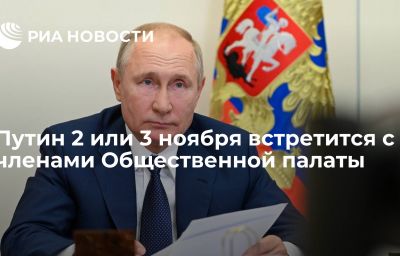 Путин 2 или 3 ноября встретится с членами Общественной палаты