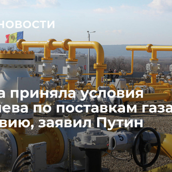 Москва приняла условия Кишинева по поставкам газа в Молдавию, заявил Путин