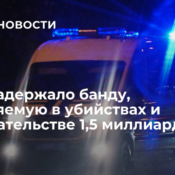 МВД задержало банду, обвиняемую в убийствах и вымогательстве 1,5 миллиарда