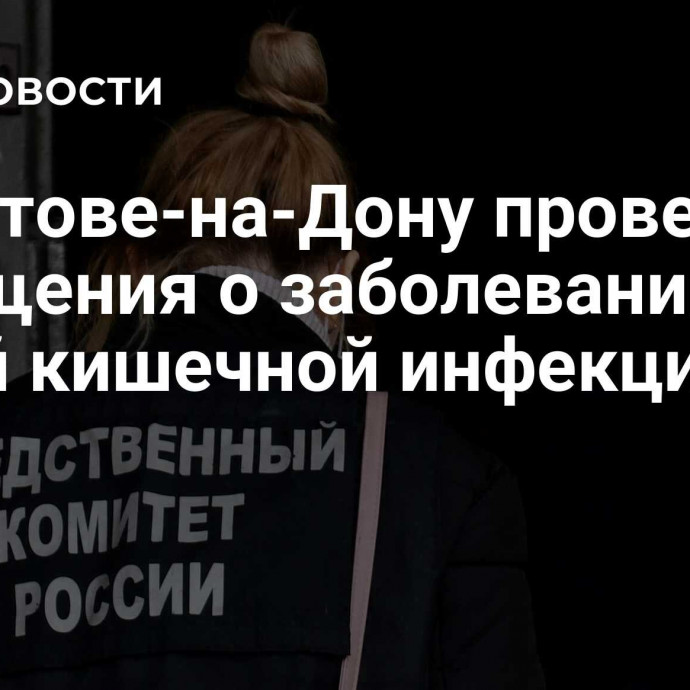 В Ростове-на-Дону проверят сообщения о заболевании детей кишечной инфекцией