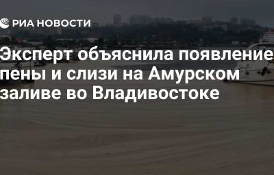 Эксперт объяснила появление пены и слизи на Амурском заливе во Владивостоке