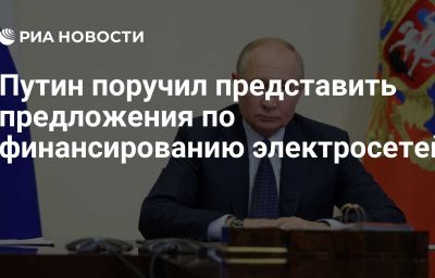 Путин поручил представить предложения по финансированию электросетей