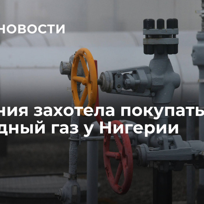 Германия захотела покупать природный газ у Нигерии