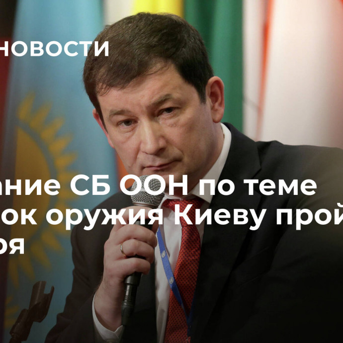 Заседание СБ ООН по теме поставок оружия Киеву пройдет 11 декабря