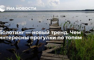 Болотинг — новый тренд. Чем интересны прогулки по топям