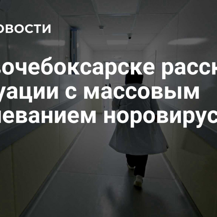 В Новочебоксарске рассказали о ситуации с массовым заболеванием норовирусом