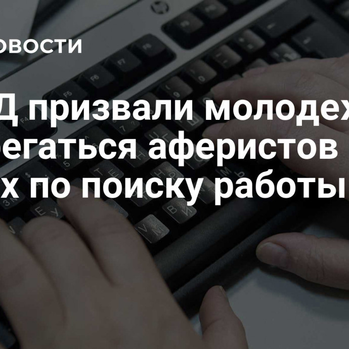 В МВД призвали молодежь остерегаться аферистов на сайтах по поиску работы