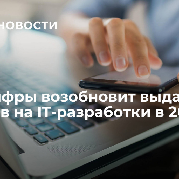 Минцифры возобновит выдачу грантов на IT-разработки в 2024 году