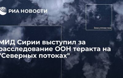 МИД Сирии выступил за расследование ООН теракта на "Северных потоках"