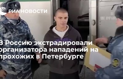 В Россию экстрадировали организатора нападений на прохожих в Петербурге