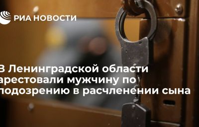 В Ленинградской области арестовали мужчину по подозрению в расчленении сына