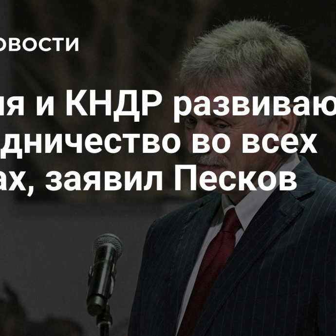 Россия и КНДР развивают сотрудничество во всех сферах, заявил Песков