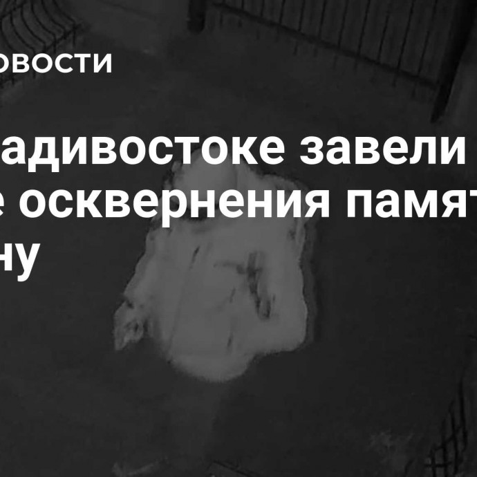 Во Владивостоке завели дело после осквернения памятника Ленину