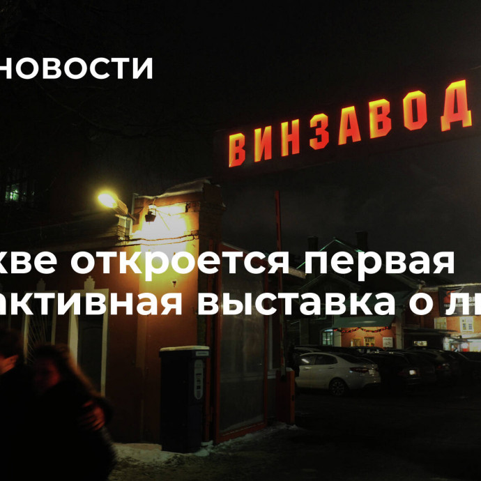 В Москве откроется первая интерактивная выставка о любви