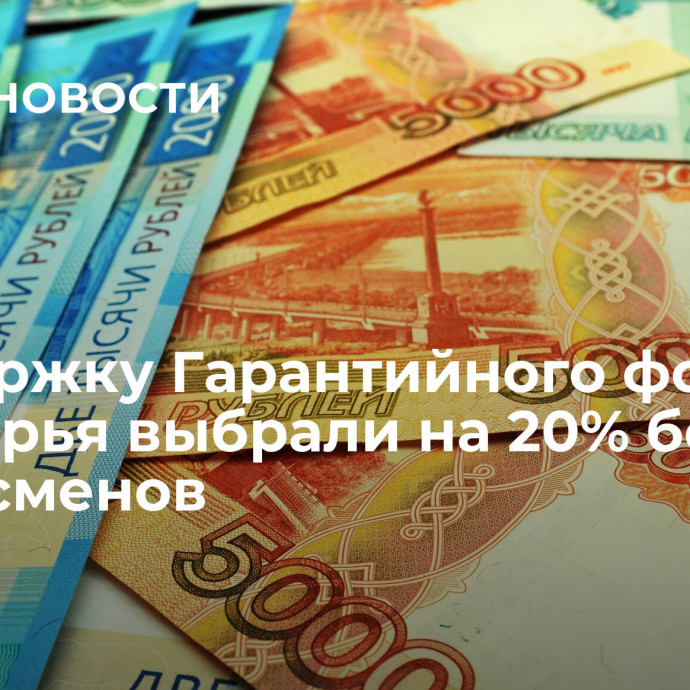 Поддержку Гарантийного фонда Приморья выбрали на 20% больше бизнесменов