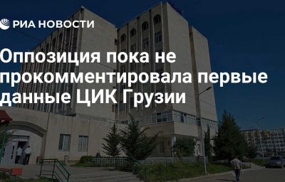 Оппозиция пока не прокомментировала первые данные ЦИК Грузии