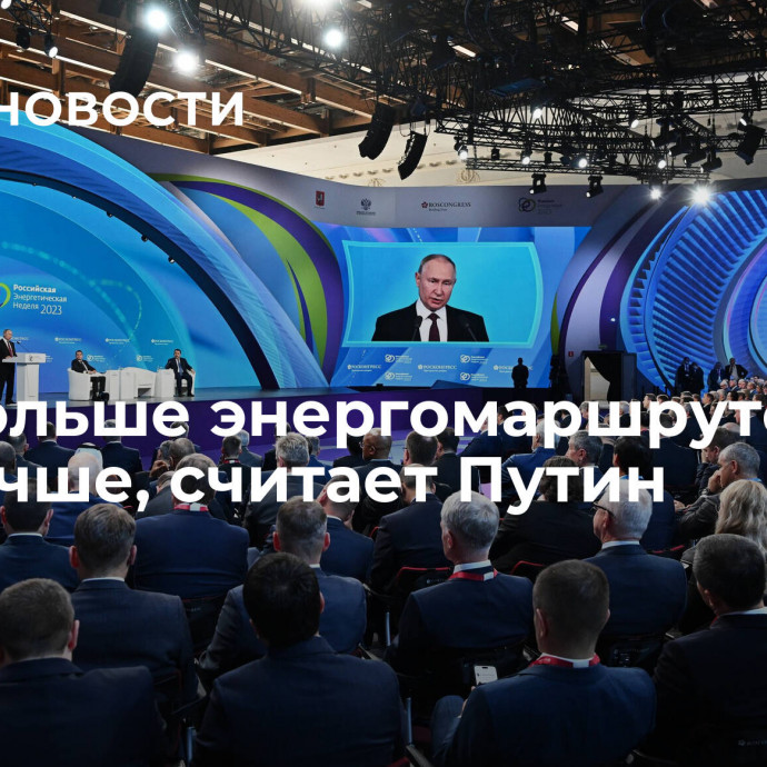 Чем больше энергомаршрутов, тем лучше, считает Путин