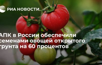 АПК в России обеспечили семенами овощей открытого грунта на 60 процентов