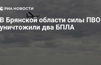 В Брянской области силы ПВО уничтожили два БПЛА