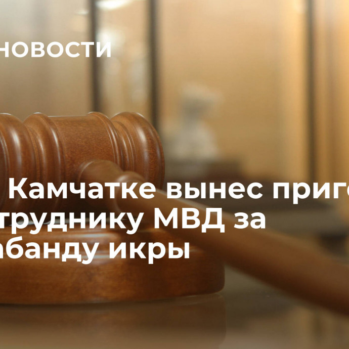 Суд на Камчатке вынес приговор экс-сотруднику МВД за контрабанду икры