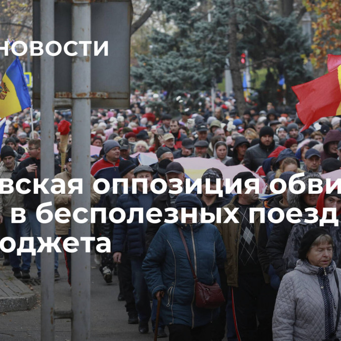 Молдавская оппозиция обвинила власти в бесполезных поездках за счет бюджета