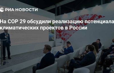 На COP 29 обсудили реализацию потенциала климатических проектов в России