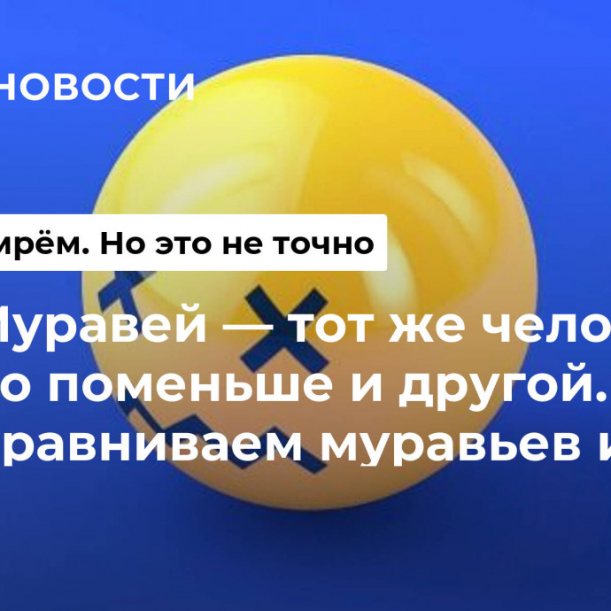 Муравей — тот же человек, но поменьше и другой. Сравниваем муравьев и людей