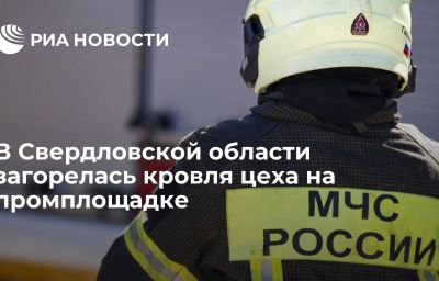 В Свердловской области загорелась кровля цеха на промплощадке