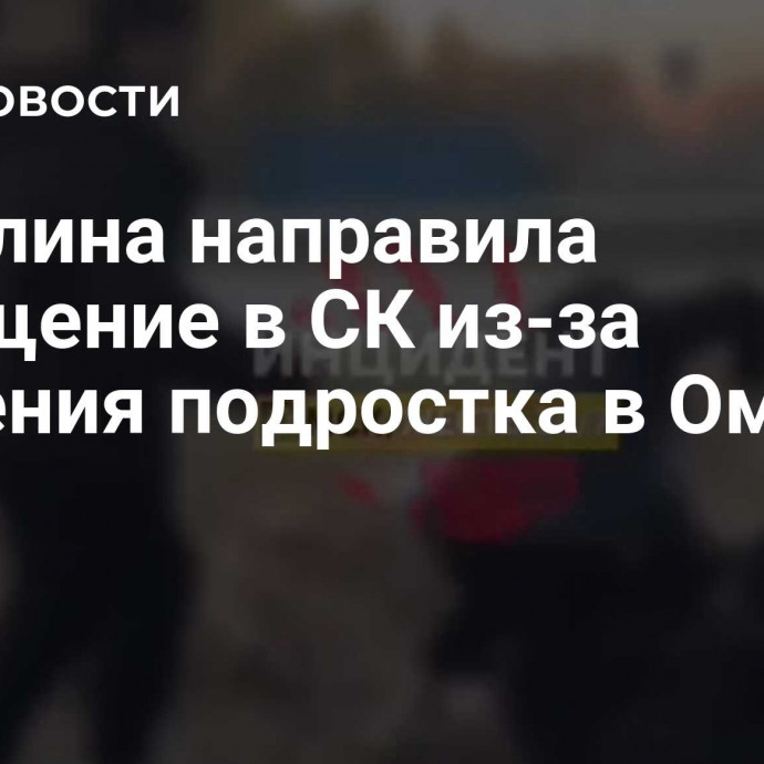 Мизулина направила обращение в СК из-за избиения подростка в Омске