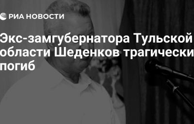 Экс-замгубернатора Тульской области Шеденков трагически погиб