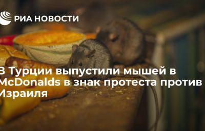 В Турции выпустили мышей в McDonalds в знак протеста против Израиля