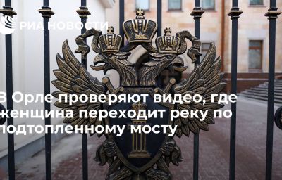 В Орле проверяют видео, где женщина переходит реку по подтопленному мосту