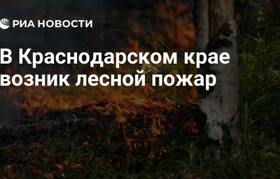 В Краснодарском крае возник лесной пожар